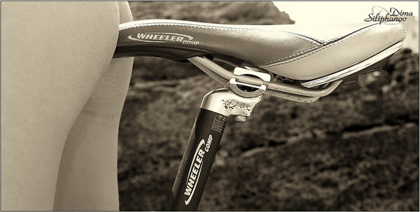 Bike Girl Saddle.jpg
