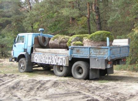 Кому валуны для дачки.JPG