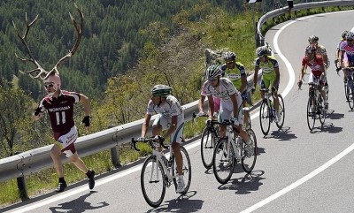 Догнали таки... Троещинского лося!.jpg