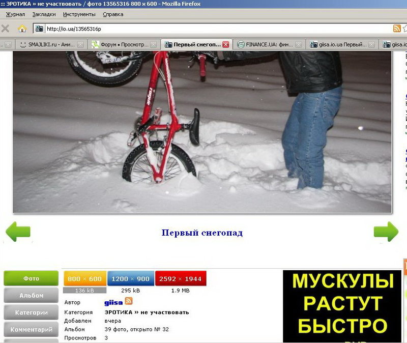 первый снегпад.jpg