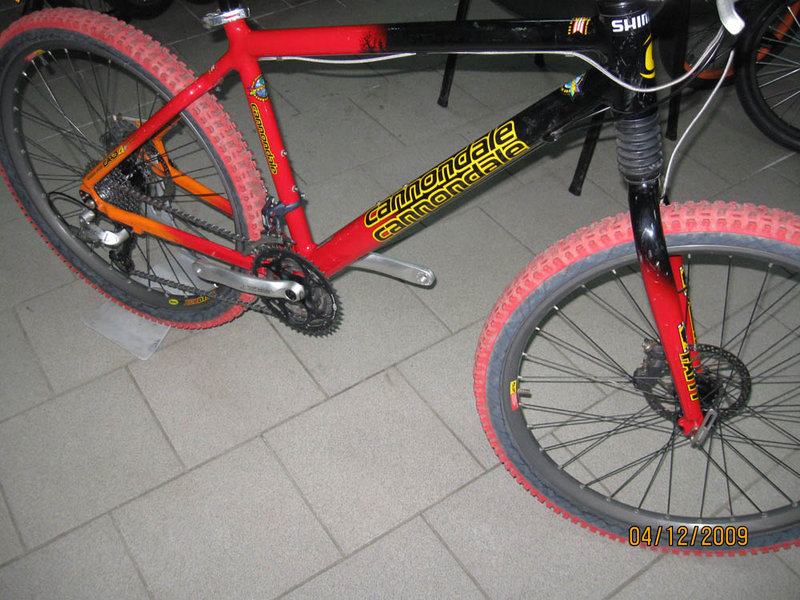 фото велов 028.jpg