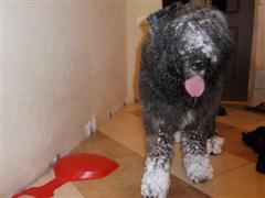 PC282401 (КПК).JPG