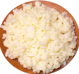 молочный гриб.jpg