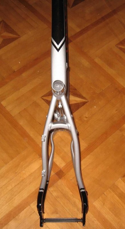 IMG_4485 modified copy.jpg