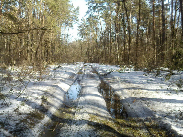 PIC-0155_новый размер.jpg