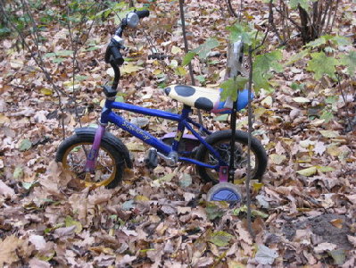 Дубки закрытие 2007 006-1.jpg