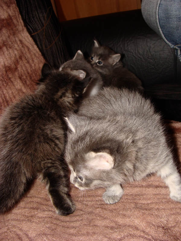 DSC09610 копия.jpg