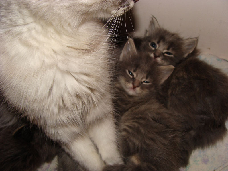 DSC09629 копия.jpg