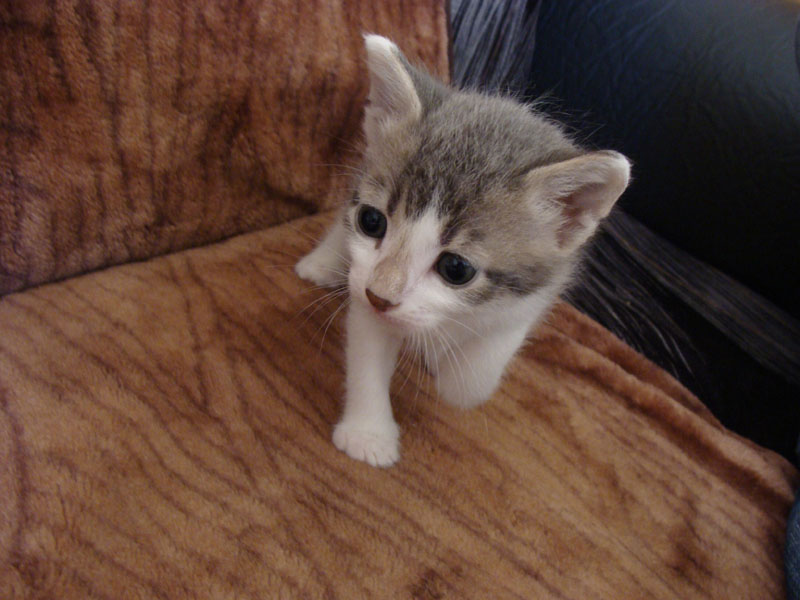 DSC09614 копия.jpg