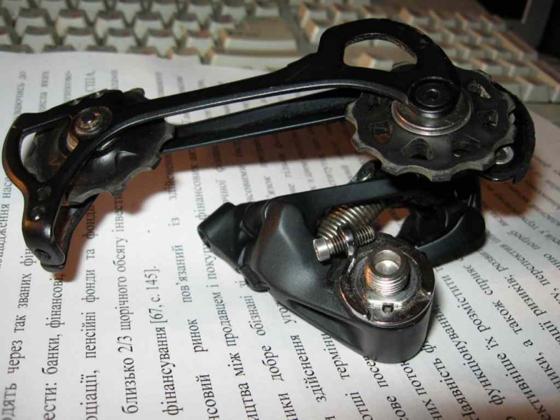 IMG_5731 modified.jpg