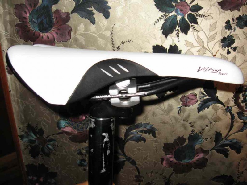 IMG_5735 modified.jpg