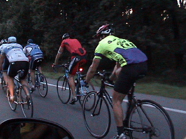 Lelik на хвосте.JPG