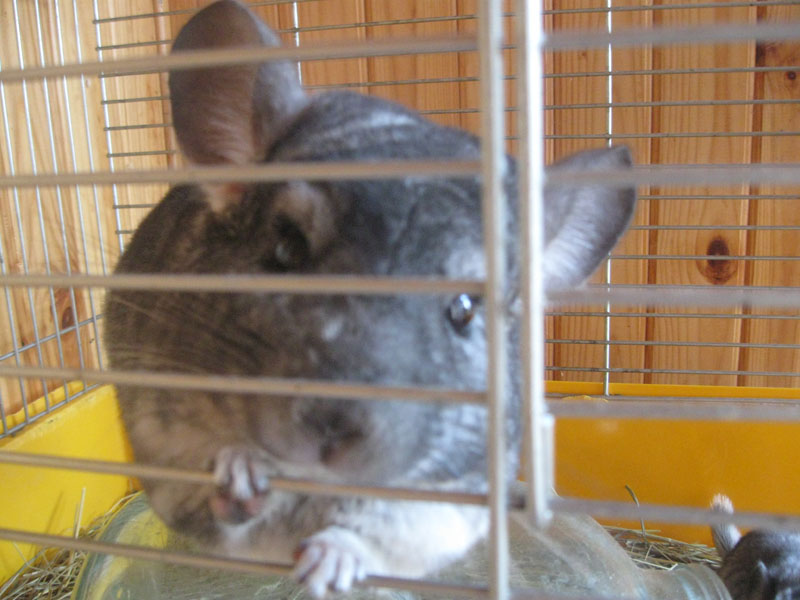 Изображение 141.jpg