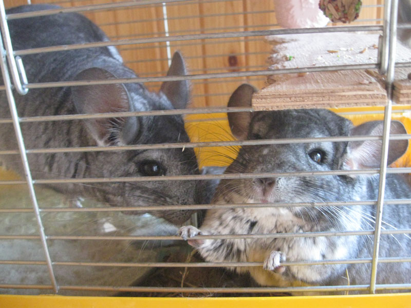 Изображение 149.jpg