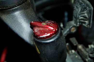 IMG_8832_новый размер.jpg