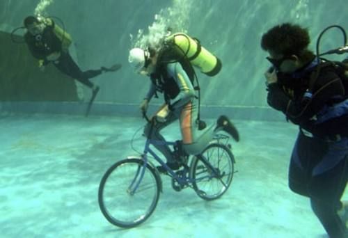 velodiving.jpg