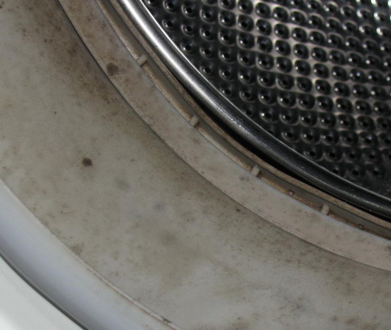 Copy of IMG_7351.jpg