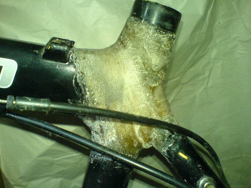 Resize of DSC00180.JPG