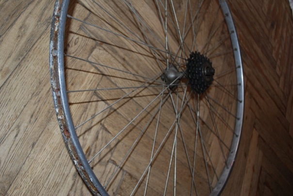 x_5404d8e6.jpg