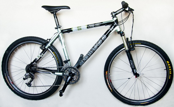 _DSC0261 AMOEBA_resize_resize.jpg