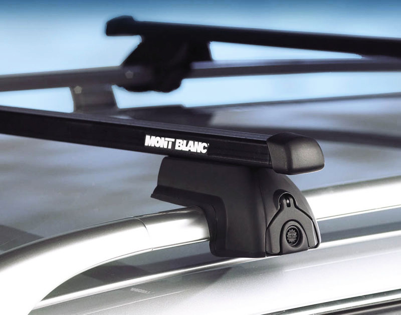 big_bagazhnik_dlya_avtomobilya_mont_blanc_re_2787.jpg