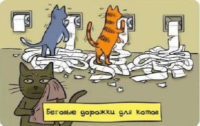 Копия l_a4ab7c86.jpg