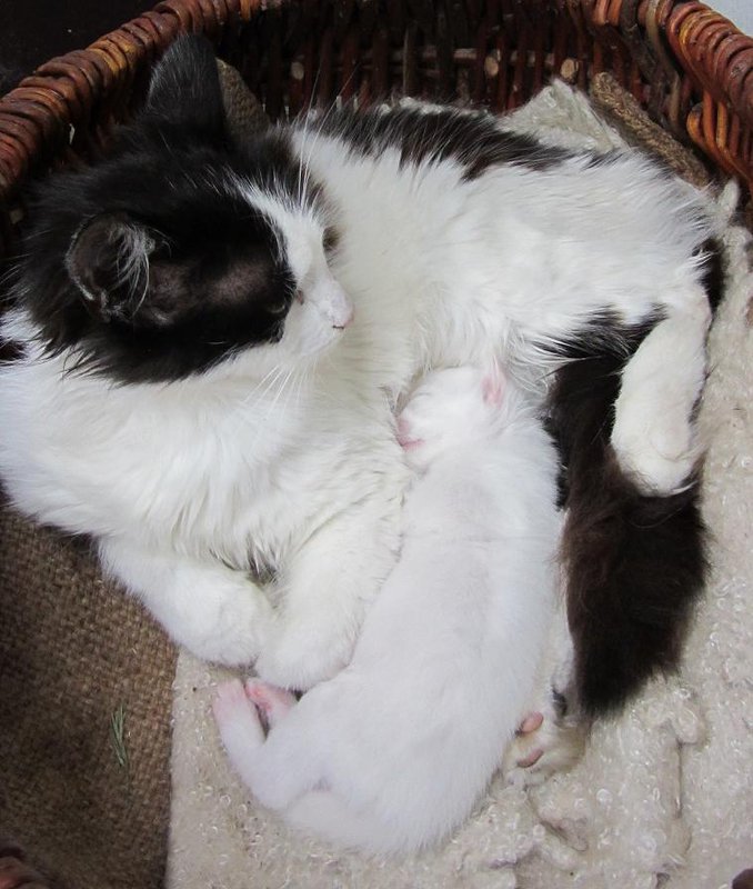 Изображение 060.jpg