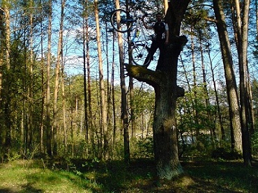 DSC00475 - копия.JPG