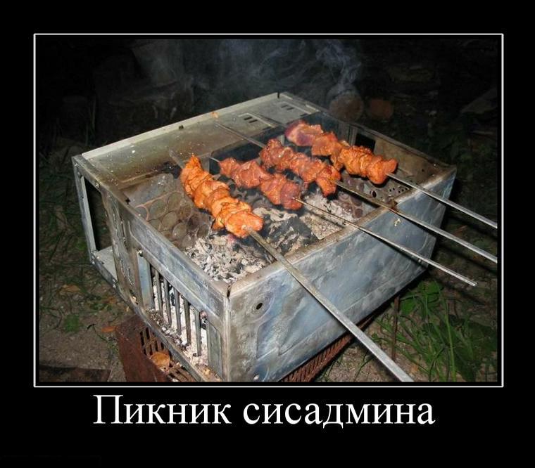 пикник сисадмина.jpg