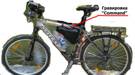 Kellys Spider LQ.jpg