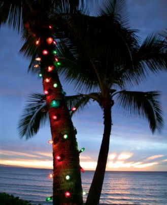 christmas-in-maui.jpg