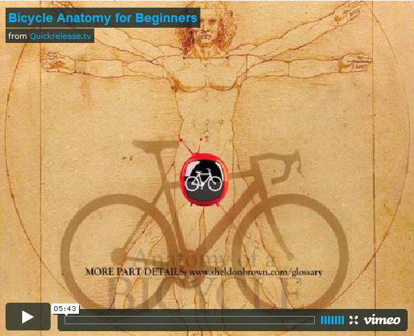 Bicycle Anatomy.jpg
