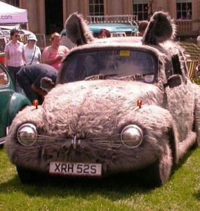 fur-covered_car.jpg
