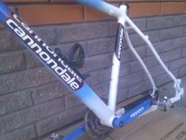 IMAG0050.jpg