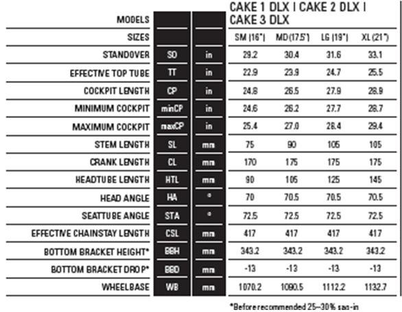Cake dlx geo.JPG