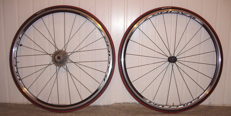 Fulcrum Racing 7.JPG