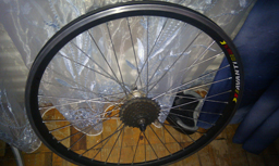 IMAG08512121121212.jpg
