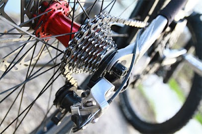 BIG HIT_0029_IMG_4804.JPG.jpg