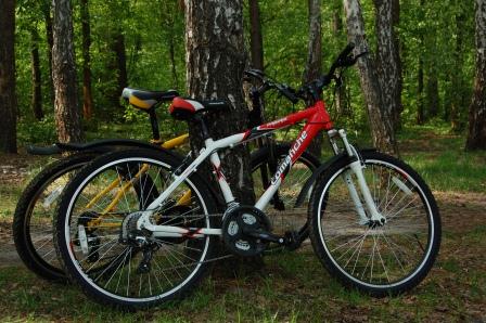 DSC_1234 - копия.JPG