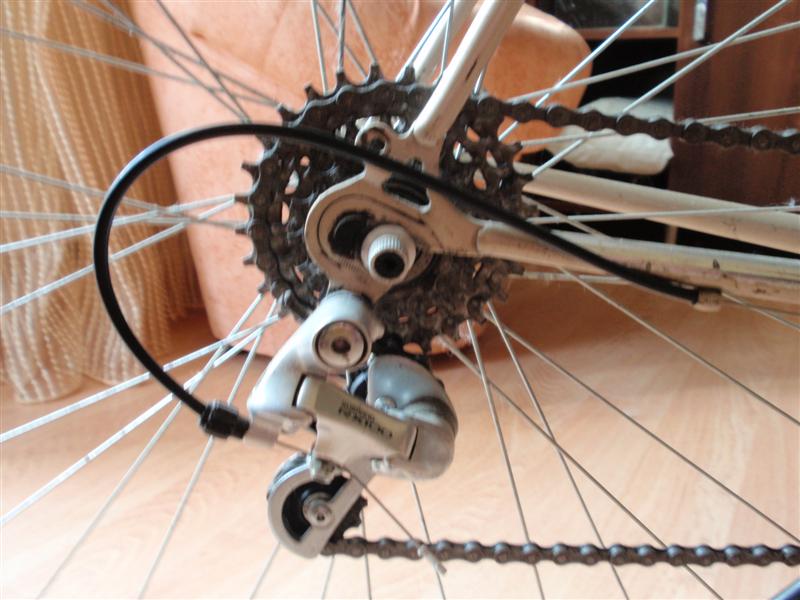 P5208986 (Средний).JPG