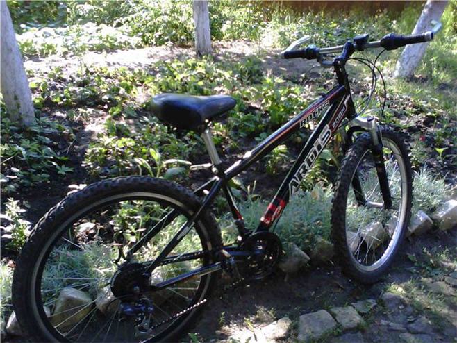 Копия 001_1.jpg