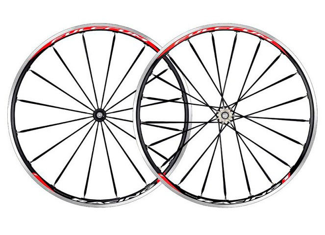 Fulcrum Racing 1.jpg