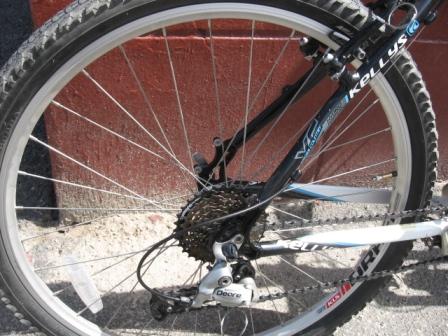 Копия IMG_0342.JPG