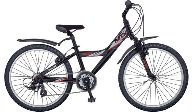 giant mtx 225 fs.jpeg