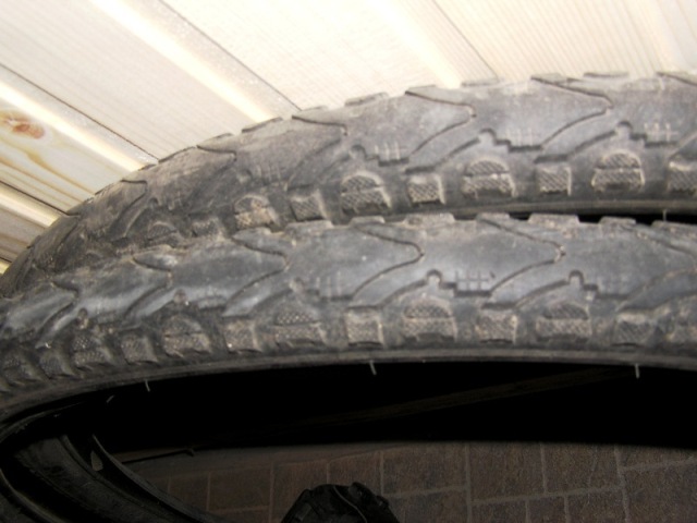 P1010052v2.jpg