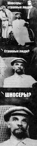 шносеры.jpg