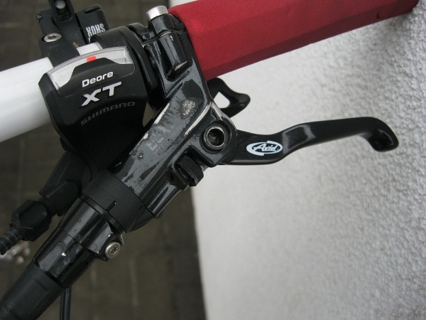 ручка лев.JPG