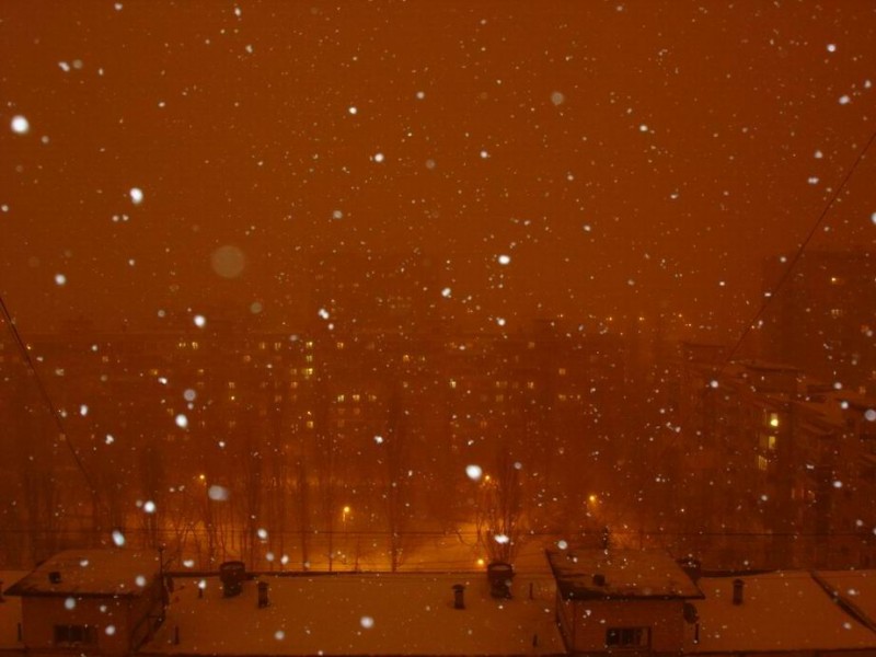 Resize of Resize of DSC00107.JPG