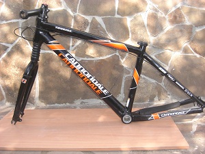 CIMG6820.JPG