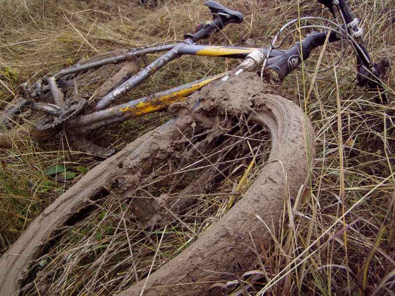 Хорошо лежим.JPG